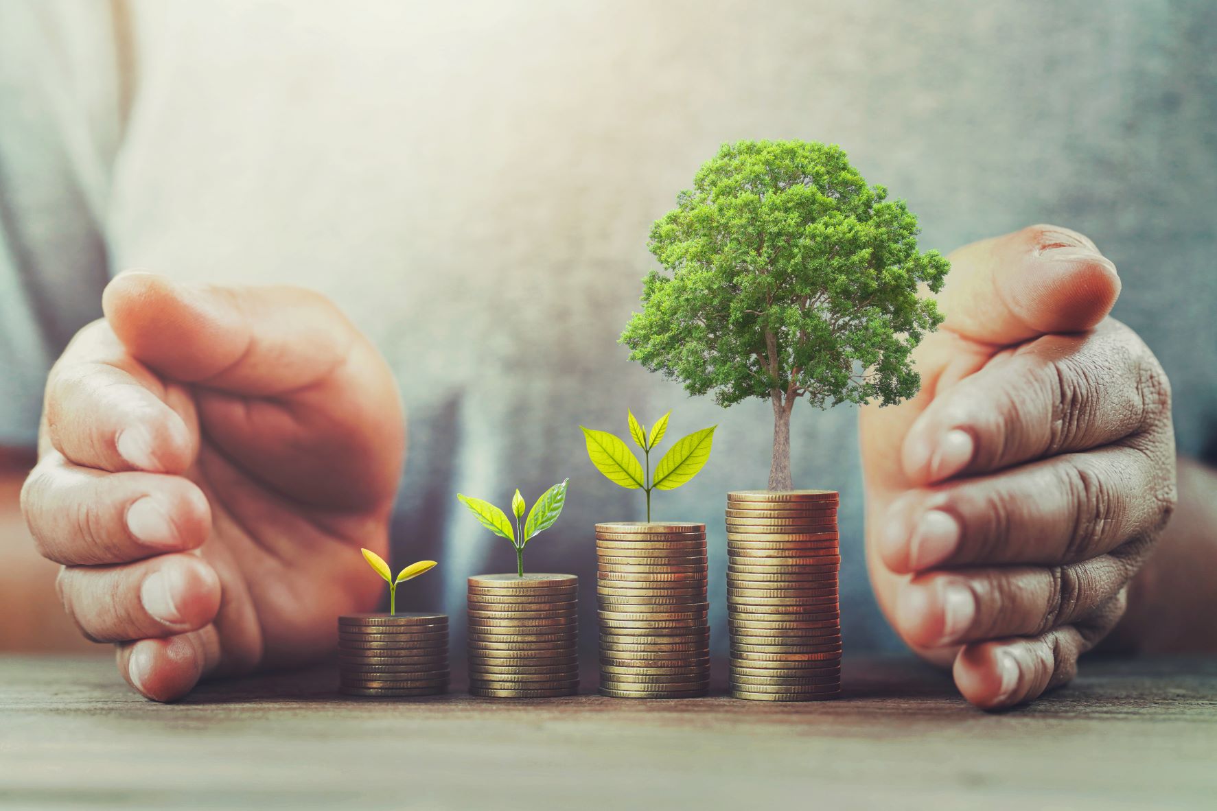 image of money with trees growing from the coins